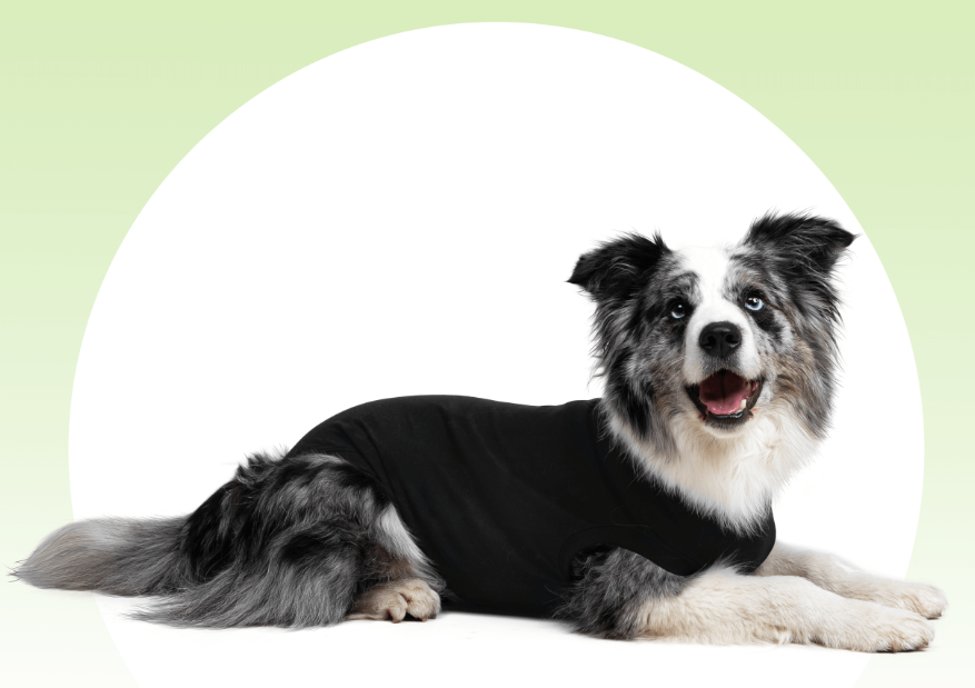 Suitical Recovery Suit Dog Black Extra Extra Small by Pet Food Warehouse