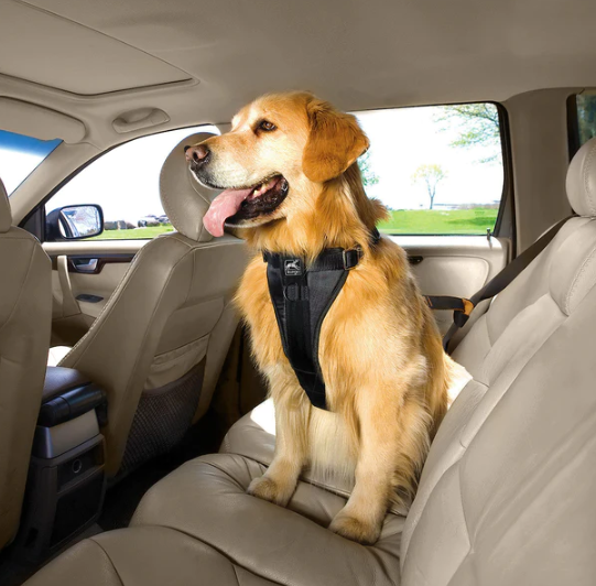 Enhanced Strength Tru-Fit Smart Harness w/Seatbelt Tether Black 50-80 lb by Pet Food Warehouse