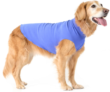 Gold Paw Fleece Cornflower Size 26 by Pet Food Warehouse
