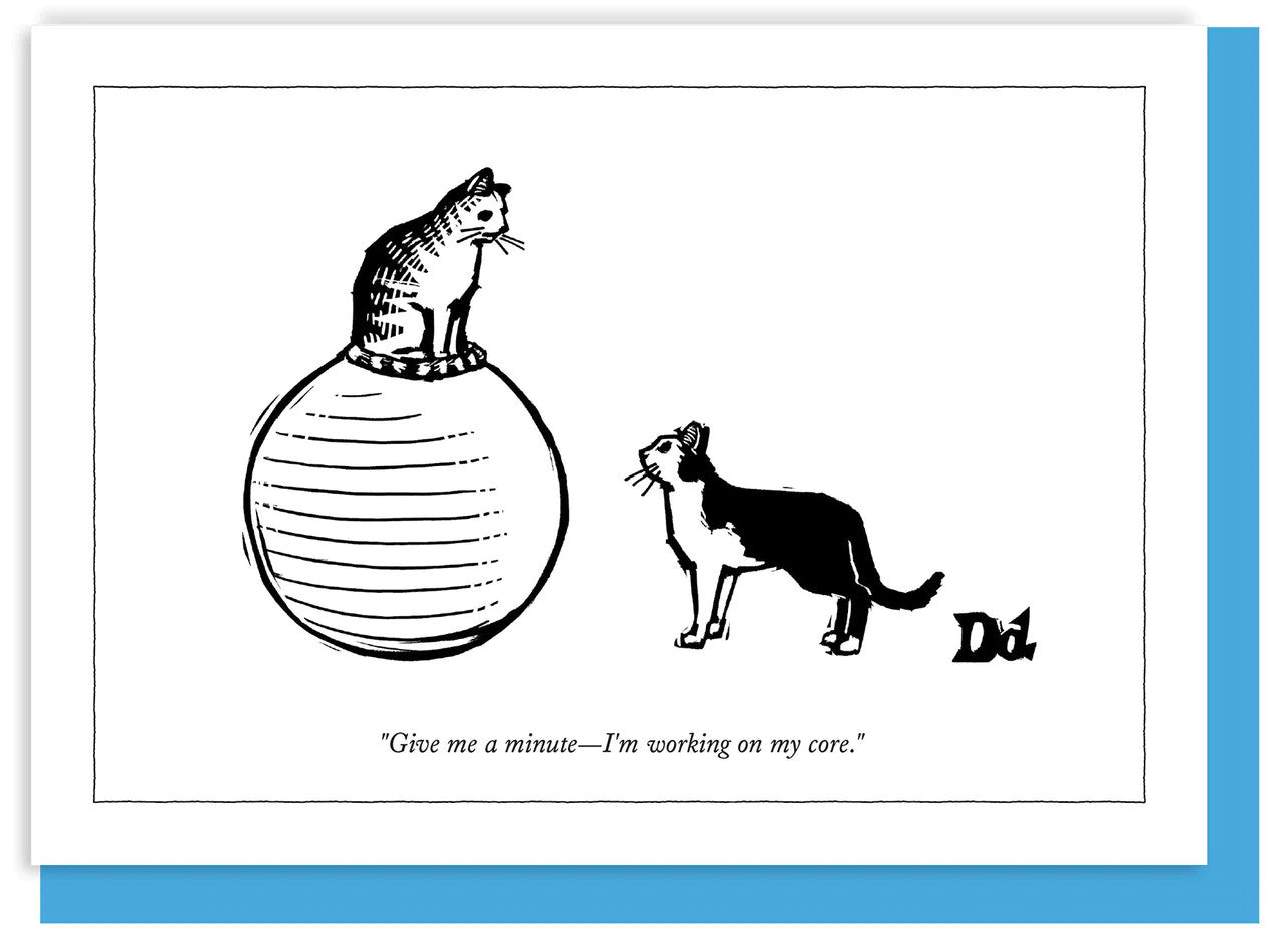 New Yorker Card Cat / Working On Core by Pet Food Warehouse