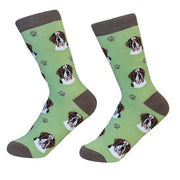 Socks Saint Bernard by Pet Food Warehouse