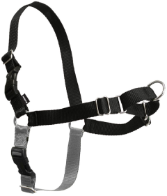 Premier Easy Walk Dog Harness Extra Large Black by Pet Food Warehouse