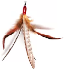 Kitty Bird Da Bird Cat Toy Replacement Feather by Pet Food Warehouse