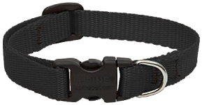 Lupine Collar Black Collar 1/2" 8-12 by Pet Food Warehouse