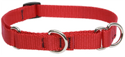 Lupine Combo Collar Red 3/4" 14-20 by Pet Food Warehouse
