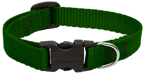 Lupine Collar Green 1/2" 10-16 by Pet Food Warehouse