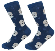 Socks Goldendoodle by Pet Food Warehouse