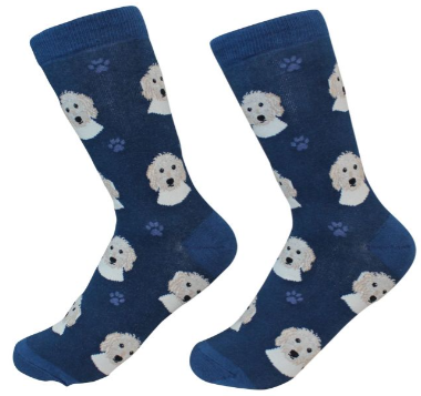 Socks Goldendoodle by Pet Food Warehouse