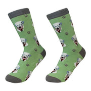 Socks Soft Coated Wheaten Terrier by Pet Food Warehouse