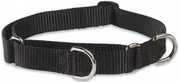 Lupine Combo Collar Black 1" 14-22 by Pet Food Warehouse