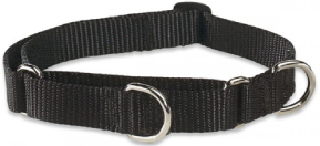 Lupine Combo Collar Black 1" 14-22 by Pet Food Warehouse