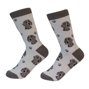 Socks Weimaraner by Pet Food Warehouse