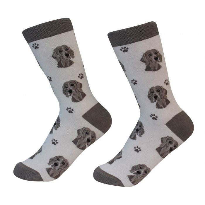 Socks Weimaraner by Pet Food Warehouse