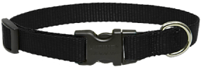 Lupine Collar Black 3/4" 15-25 by Pet Food Warehouse