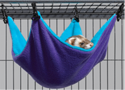 Midwest Ferret Large Hammock by Pet Food Warehouse