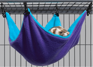 Midwest Ferret Large Hammock by Pet Food Warehouse