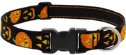 Lupine Collar Jack O Lantern 1/2" 8-12 by Pet Food Warehouse