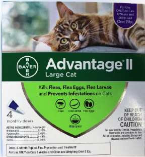 09+ Advantage II Large Cat 4 Month by Pet Food Warehouse