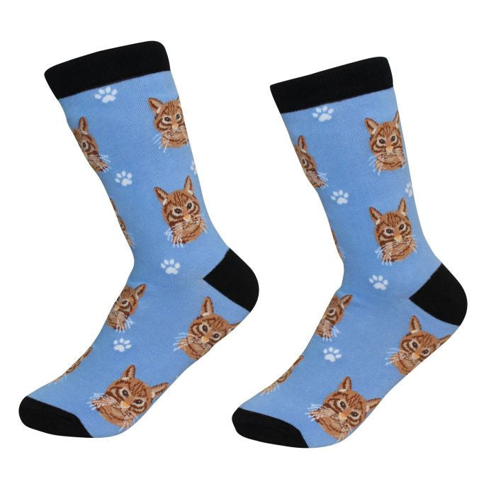 Socks Cat Tabby Orange by Pet Food Warehouse
