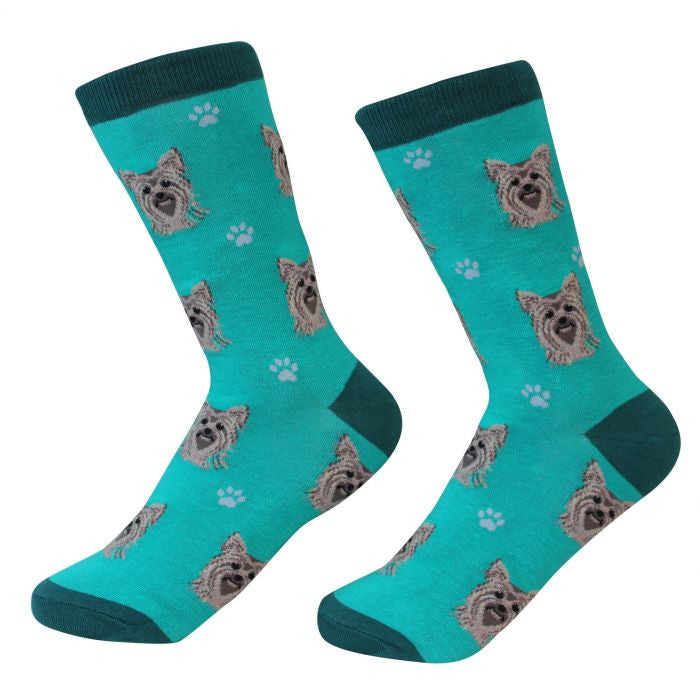 Socks Yorkie by Pet Food Warehouse