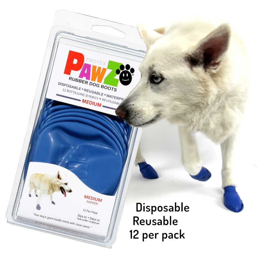 Pawz Dog Boots Medium Blue by Pet Food Warehouse