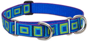 Lupine Combo Collar Sea Glass 1" 14-22 by Pet Food Warehouse