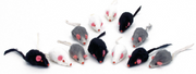 Coastal Small Fur Mice Cat Toy 12 Pack by Pet Food Warehouse