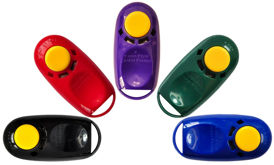I-Clickers Bulk by Pet Food Warehouse