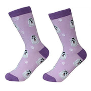 Socks Maltese by Pet Food Warehouse