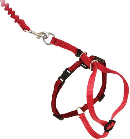 Premier Large Come With Me Kitty Red Harness by Pet Food Warehouse