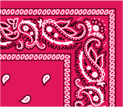 Bandana Paisley Hot Pink by Pet Food Warehouse