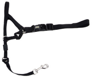 Coastal Dog Head Halter Walk N Train Large by Pet Food Warehouse