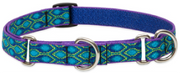 Lupine Combo Collar 3/4" 10-14 Rain Song by Pet Food Warehouse