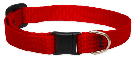Lupine Safety Cat Collar Red 1/2" 8-12 by Pet Food Warehouse