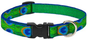 Lupine Collar Tail Feathers 1" 12-20 by Pet Food Warehouse