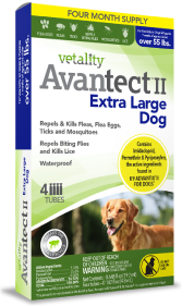 Vetality Avantect II Extra Large Dog 55# or More 4 Pack by Pet Food Warehouse