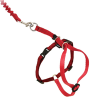 Premier Small Come With Me Kitty Red Harness by Pet Food Warehouse