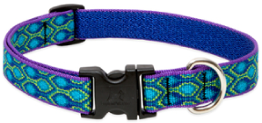 Lupine Collar Rain Song 3/4" 9-14 by Pet Food Warehouse