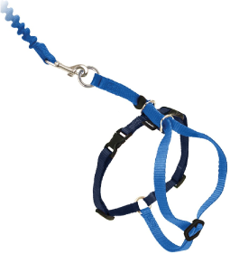Premier Small Come With Me Kitty Blue Harness by Pet Food Warehouse