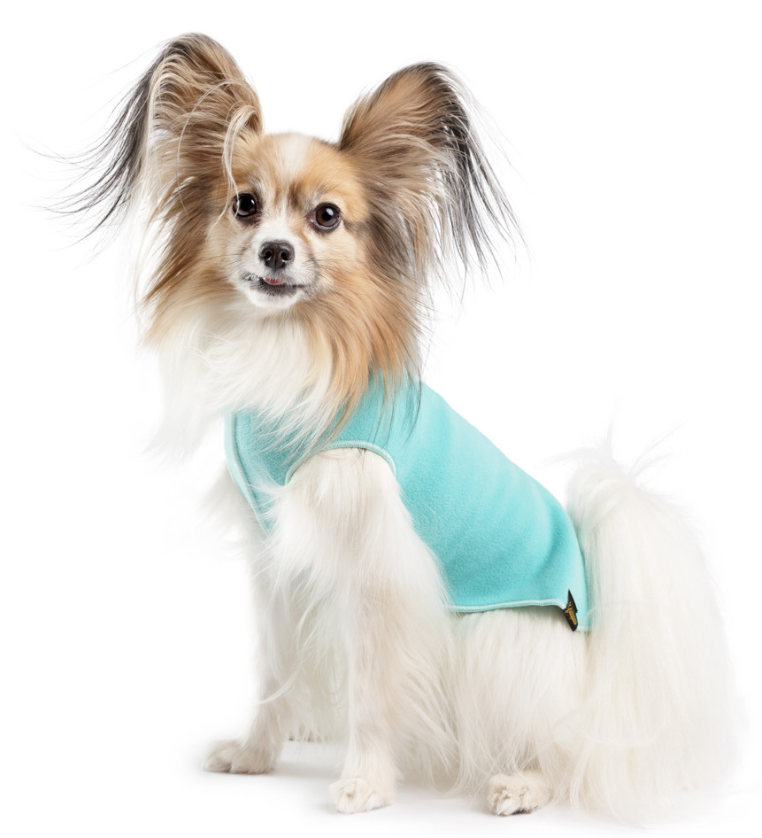Gold Paw Fleece Turquoise Size 12 by Pet Food Warehouse