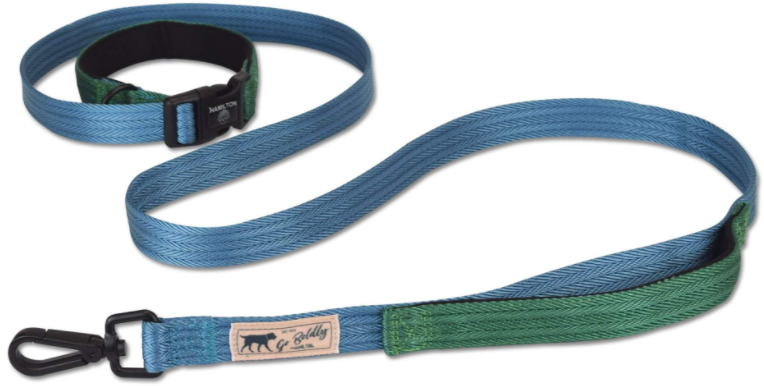 Hamilton Leash Get Out & Go River Bend Ocean & Green 1 6' by Pet Food Warehouse