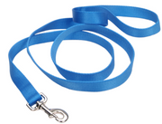 Coastal Cat Lead 3/8" 6' Blue Lagoon by Pet Food Warehouse