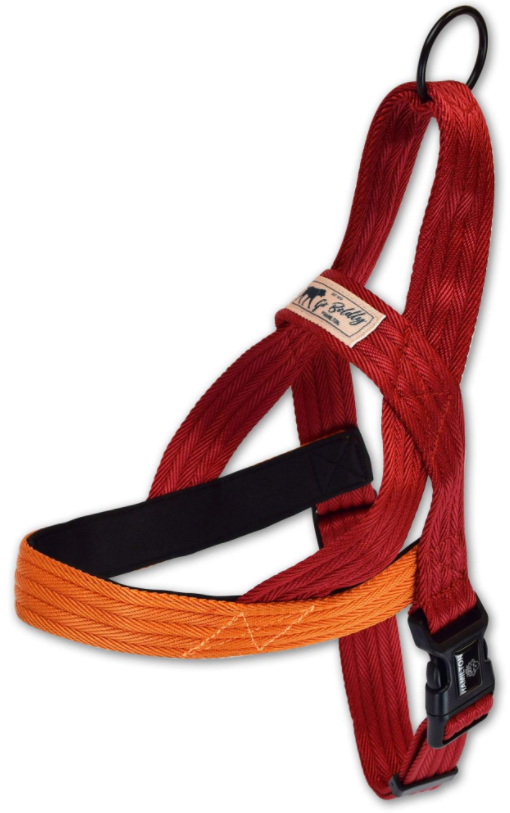 Hamilton Harness Norwegian Campfire Red & Mango 1 27-34" by Pet Food Warehouse
