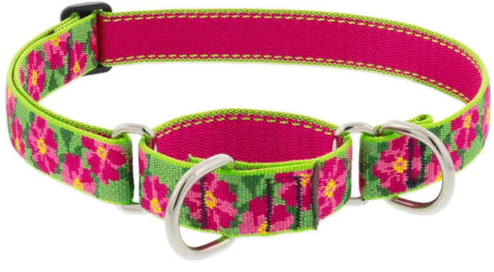 Lupine Combo Collar Petunias 3/4" 14-20 by Pet Food Warehouse