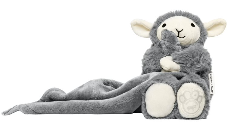 Canada Pooch Weighted Dog Toy Small Medium by Pet Food Warehouse