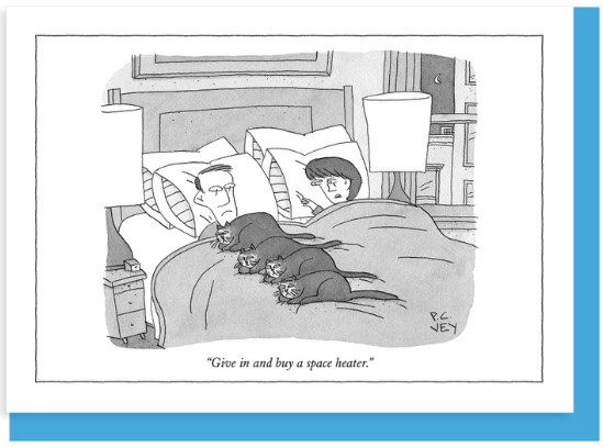 New Yorker Card Cat Heater by Pet Food Warehouse