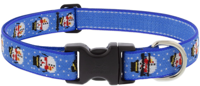 Lupine Collar Snowville 3/4 15-25 by Pet Food Warehouse