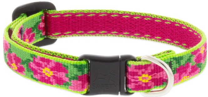 Lupine Safety Cat Collar Petunias 1/2" 8-12 by Pet Food Warehouse
