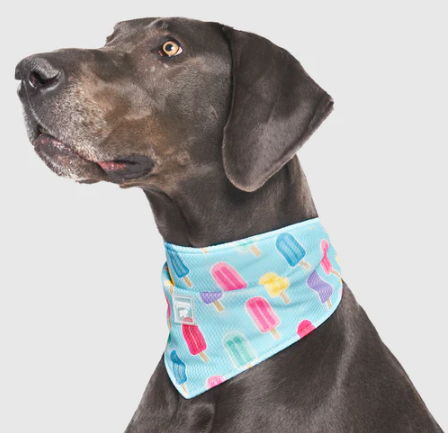 Chill Seeker Cooling Bandana Popsicles Small by Pet Food Warehouse