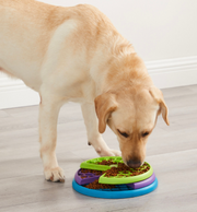 Outward Hound Lickin' Layers Dog Puzzle Game by Pet Food Warehouse
